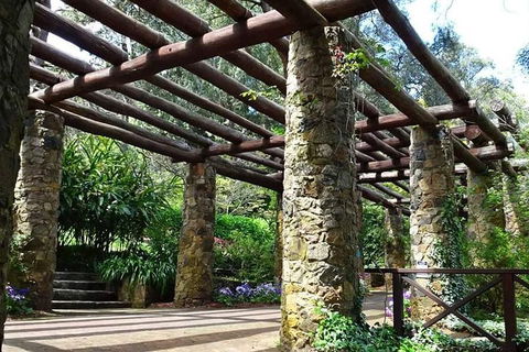 Spring Wildflower (Private) Day Tours - Accommodation Australia 2