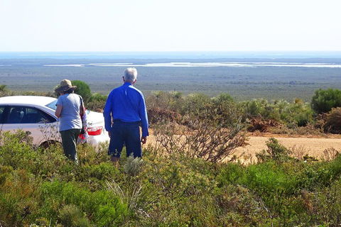 Spring Wildflower (Private) Day Tours - Accommodation Australia 3