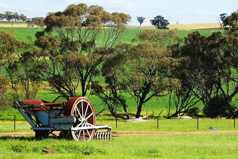 Spring Wildflower (Private) Day Tours - Accommodation Australia 4