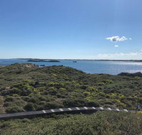 Penguin Island And Fremantle - Canoe Chocolate  Coffee - Local Tourism