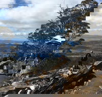 kunanyi / Mt Wellington Explorer Bus - 2 Hour Return Tour - Australia Shopping
