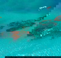 Private Tangalooma Wrecks Tour - Local Tourism