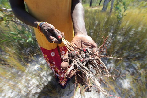 Gay-Wu Woman's 5 Day Yolngu Homeland Tour - Bed n Breakfasts 0