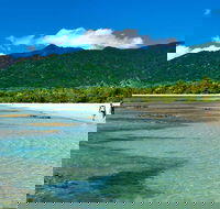 5-Day Best of Cairns with Daintree Kuranda and Great Barrier Reef - Local Tourism