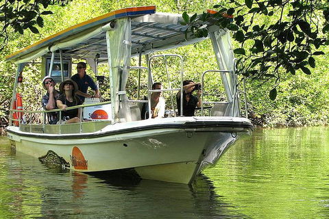 5-Day Best Of Cairns With Daintree, Kuranda, And Great Barrier Reef - Local Tourism 1