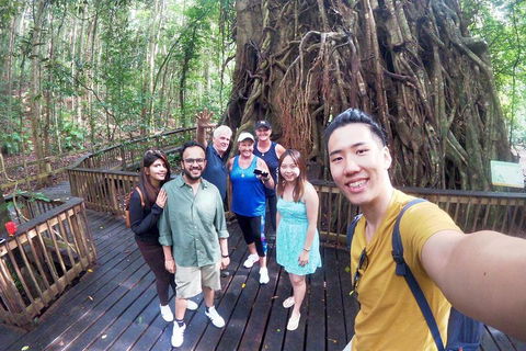 Cairns 4WD Waterfall And Rainforest Tour Including Kuranda Scenic Railway - Local Tourism 0