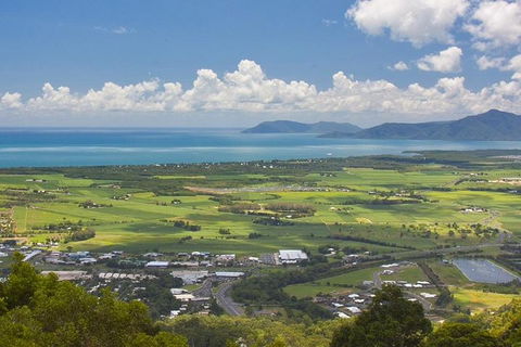 Cairns 4WD Waterfall And Rainforest Tour Including Kuranda Scenic Railway - Local Tourism 5
