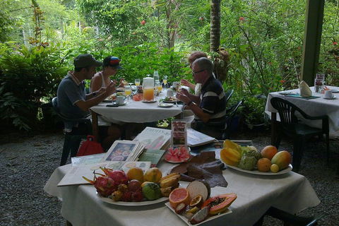 Cairns Reef And Rainforest Combo: Daintree Rainforest And The Great Barrier Reef - Local Tourism 3