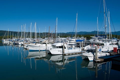 Cairns Reef And Rainforest Combo: Daintree Rainforest And The Great Barrier Reef - Local Tourism 5