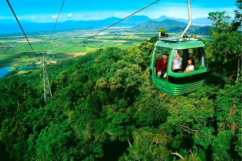 4-Day Cairns Ultimate Combo: Daintree Rainforest, Reef, Kuranda & Paronella Park - Accommodation Australia 1