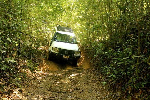 Barron Gorge And Kuranda National Park Half Day Rainforest And Waterfall 4WD Tour From Cairns - Accommodation Australia 2