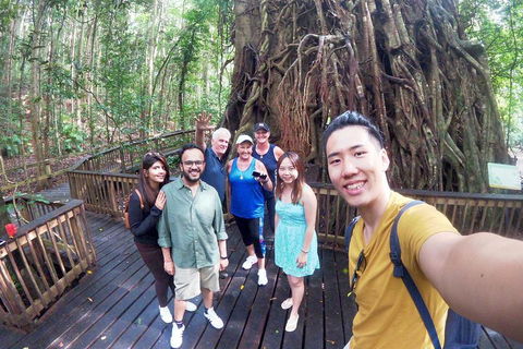 Barron Gorge And Kuranda National Park Half Day Rainforest And Waterfall 4WD Tour From Cairns - Accommodation Australia 5