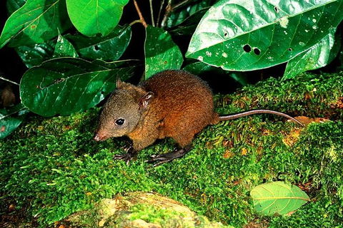 3-Day Small-Group Tour Of North Queensland With Pick Up - Local Tourism 0