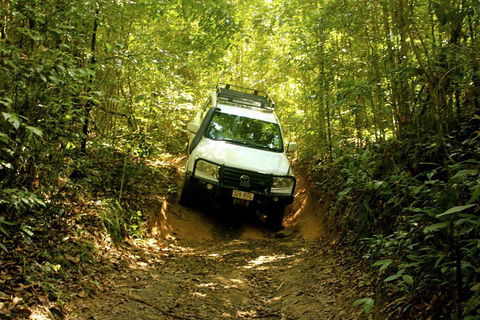 Cairns National Park Rainforest And Waterfall Small Group Tour Shore Excursion - Local Tourism 0