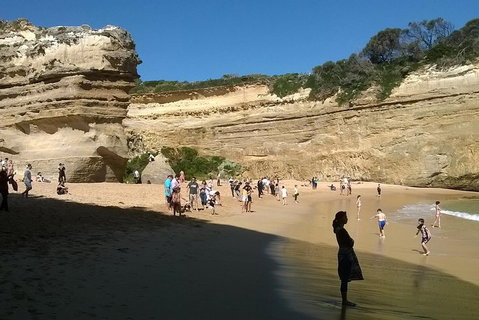 Great Ocean Road Full Day Private Experience - Local Tourism 3