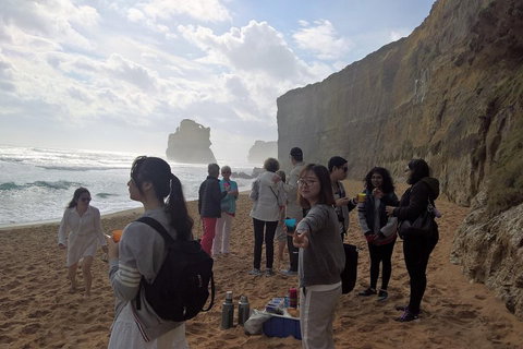 Great Ocean Road Full Day Private Experience - Local Tourism 4