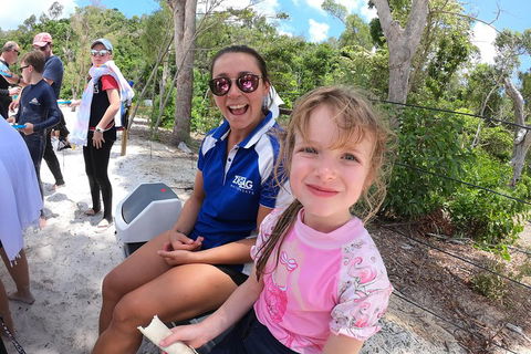 Whitehaven Beach Day Tour With Snorkel In Whitsundays Island - Accommodation Australia 1