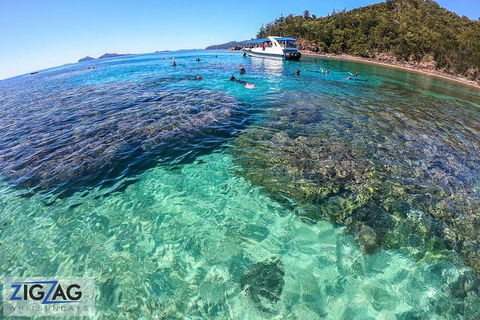 Whitehaven Beach Day Tour With Snorkel In Whitsundays Island - Accommodation Australia 5