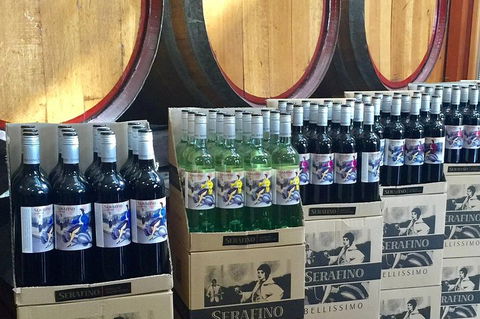 Mclaren Vale Luxury Full Day Small Group Wine Tour - Local Tourism 0