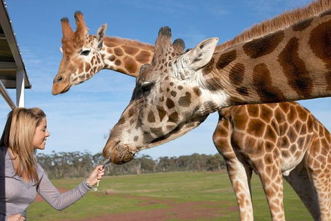 Melbourne City Card (2 Days): Visit Unlimited Attractions! - Accommodation Australia 1