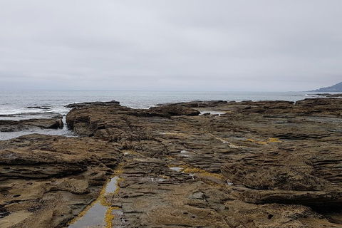 Luxury Private Great Ocean Road Tour Up To 11 People - Entire Vehicle - Accommodation Australia 1