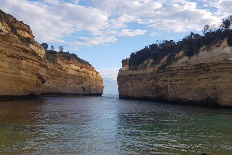 Luxury Private Great Ocean Road Tour Up To 11 People - Entire Vehicle - Accommodation Australia 2