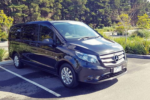 Luxury Private Great Ocean Road Tour Up To 11 People - Entire Vehicle - Accommodation Australia 3