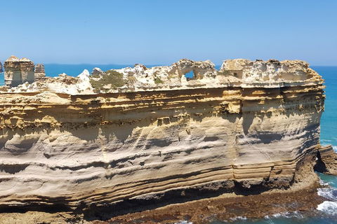 Luxury Private Great Ocean Road Tour Up To 11 People - Entire Vehicle - Accommodation Australia 4