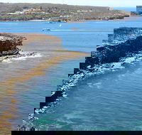 Half day Manly Beach and more - Local Tourism