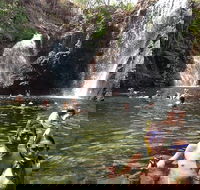 Litchfield National Park and Jumping Crocodile Cruise - Local Tourism