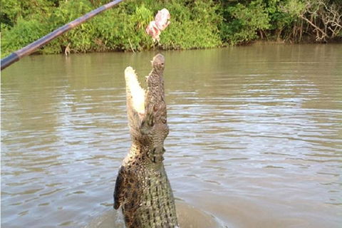 Litchfield National Park And Jumping Crocodile Cruise - Accommodation Australia 2