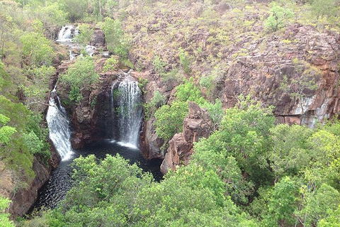 Litchfield National Park And Jumping Crocodile Cruise - Accommodation Australia 4