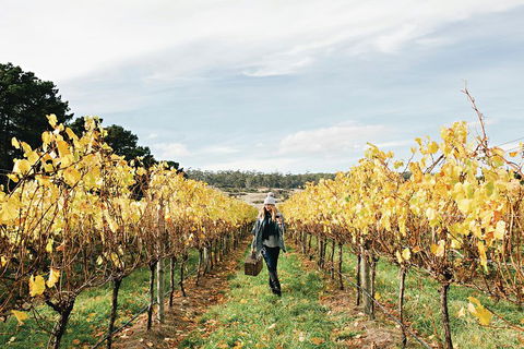One-Way East Coaster - Accommodation Australia 1