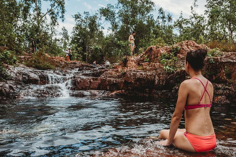 Litchfield National Park Day Tour From Darwin With Waterfalls And Buley Rockhole - Accommodation Australia 0