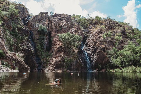 Litchfield National Park Day Tour From Darwin With Waterfalls And Buley Rockhole - Accommodation Australia 1