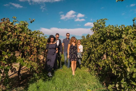 Barossa Valley Private Tour (from 2 To 11 People) - Accommodation Australia 0