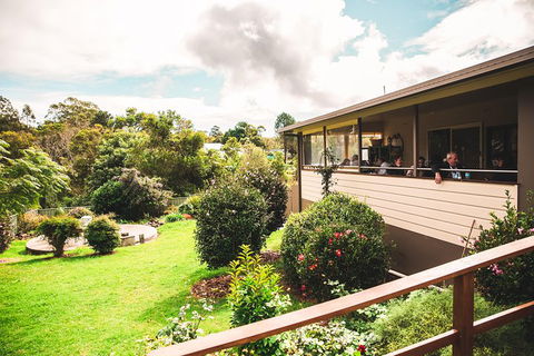 Full-day Springbrook National Park Tour From The Gold Coast - Local Tourism 2