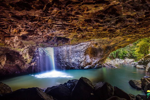 Full-day Springbrook National Park Tour From The Gold Coast - Local Tourism 3