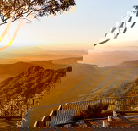 O'Reilly's  Lamington National Park incl. Alpaca Farm  Vineyard - Local Tourism