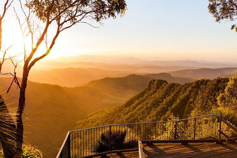 O'Reilly's & Lamington National Park Incl. Alpaca Farm + Vineyard - Local Tourism 0