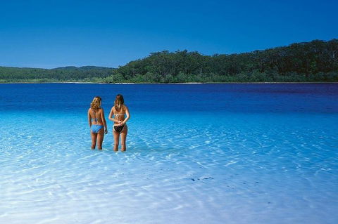 Fraser Island 4WD Tour From Noosa - Local Tourism 2