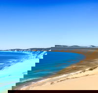 Kayak with Dolphins and 4WD Great Beach Drive Day Trip from Noosa - Local Tourism