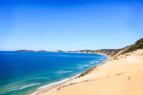 Kayak With Dolphins And 4WD Great Beach Drive Day Trip From Noosa - Accommodation Australia 0