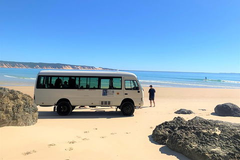 Kayak With Dolphins And 4WD Great Beach Drive Day Trip From Noosa - Accommodation Australia 4