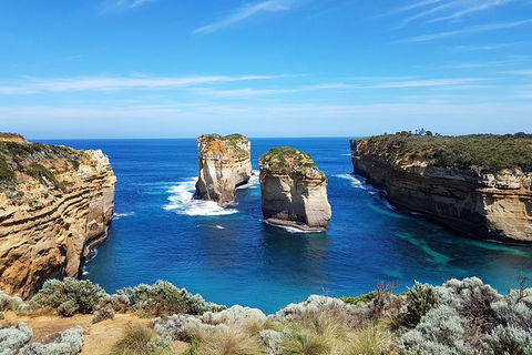 Great Ocean Road Adventure - Private Tour - Reverse - Accommodation Australia 1