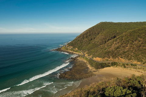 Great Ocean Road Adventure - Private Tour - Reverse - Accommodation Australia 2