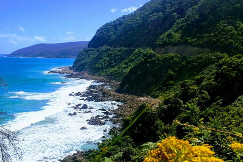 Great Ocean Road Adventure - Private Tour - Reverse - Accommodation Australia 3