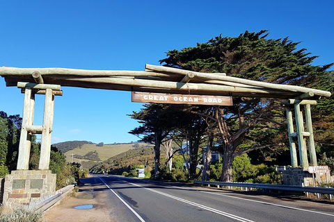 Great Ocean Road Adventure - Private Tour - Reverse - Accommodation Australia 5