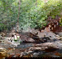 Ethical Adventures - Best in the WET - Litchfield / Kakadu 3 Day- max 10 guests - Local Tourism