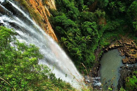 Rainforest & Waterfalls Extravaganza - Accommodation Australia 1